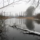 Teich in der Leinemasch 2