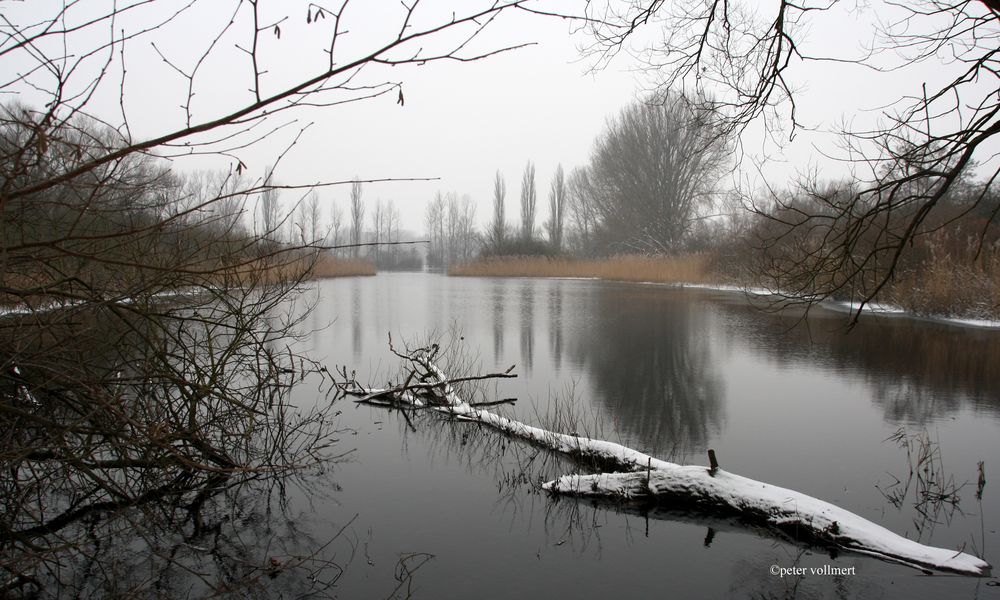 Teich in der Leinemasch 2