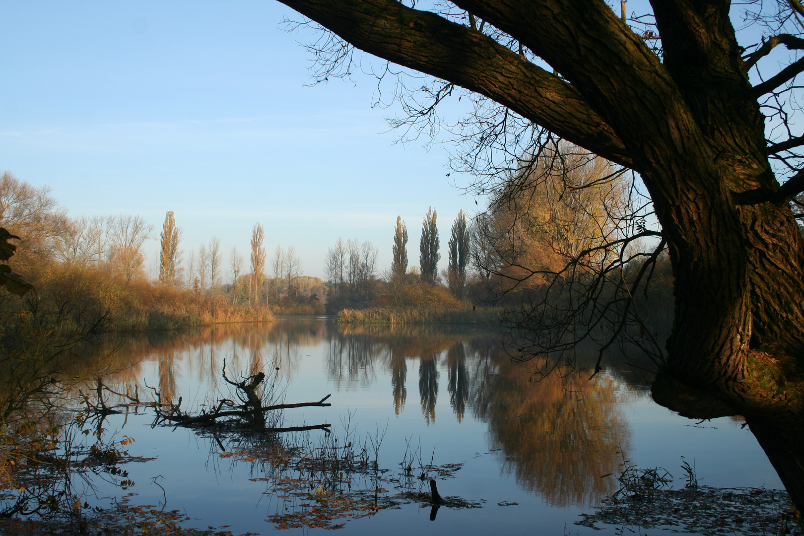 Teich in der Leinemasch