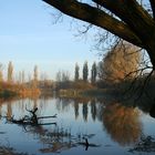 Teich in der Leinemasch