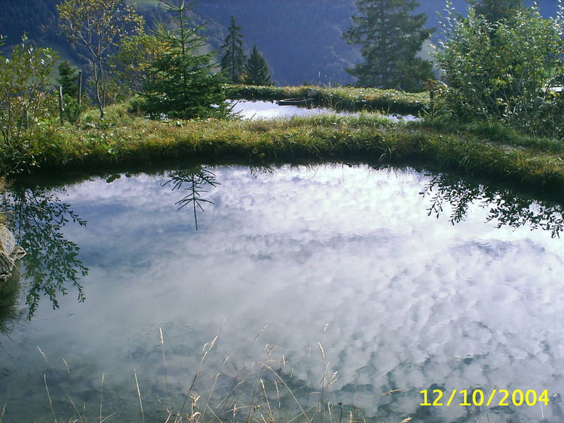 Teich in der nähe von Seewis (Prätigau,Schweiz)