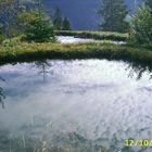 Teich in der nähe von Seewis (Prätigau,Schweiz)