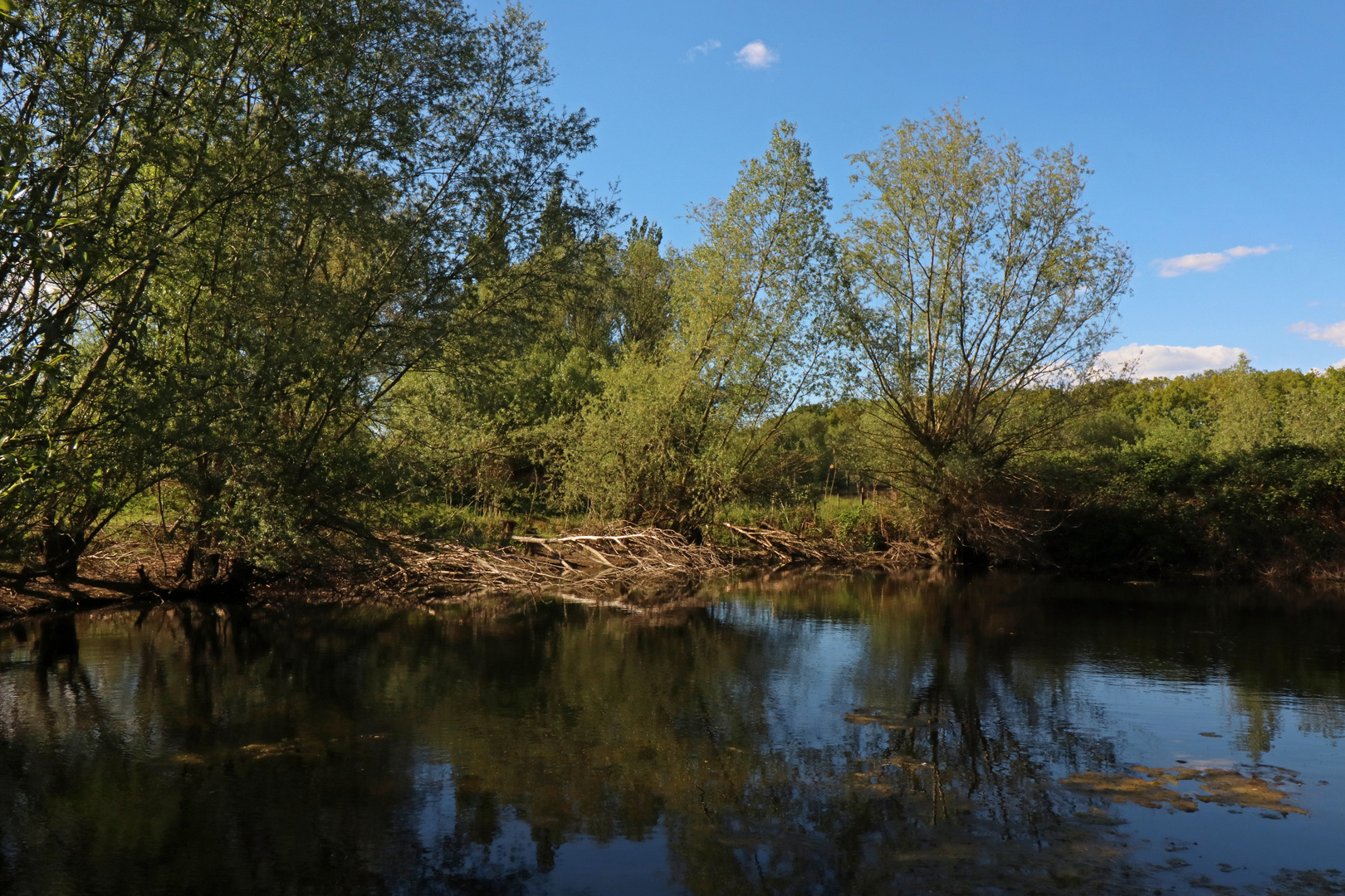 Teich in der Okeraue