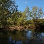 Teich in der Okeraue