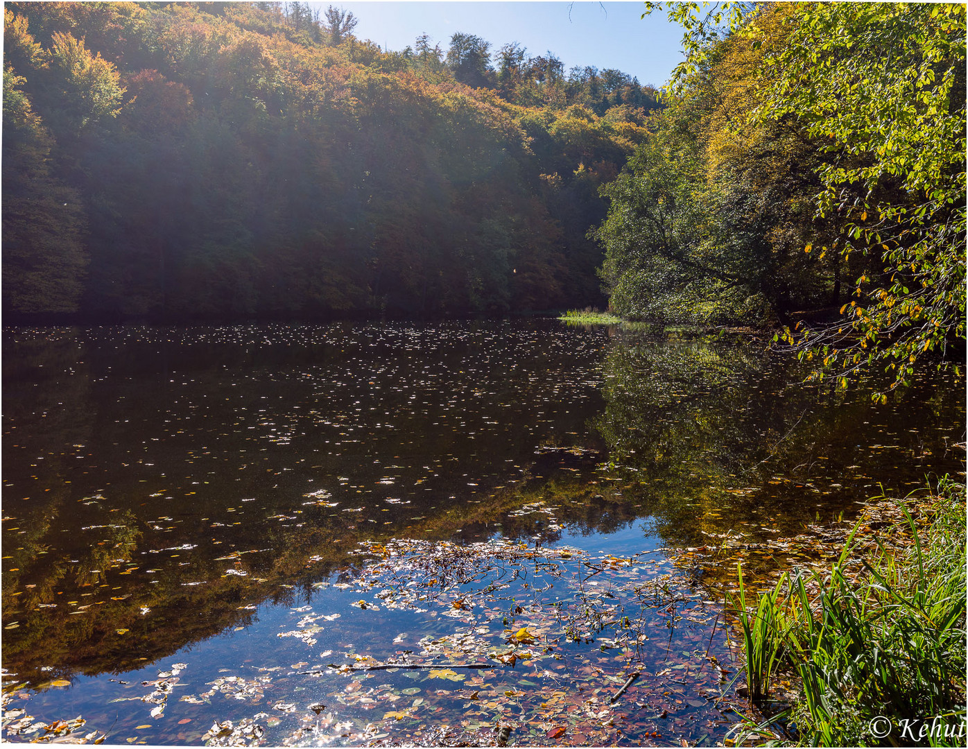 Teich in der Sonne am Kloster Michaelstein Foto & Bild