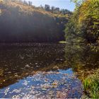 Teich in der Sonne ... - am Kloster Michaelstein