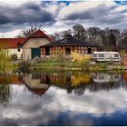 Teich in Emersleben