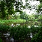 Teich in Fulda