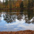 Teich in Herbstfarben