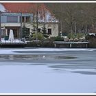 Teich in Herzogenrath