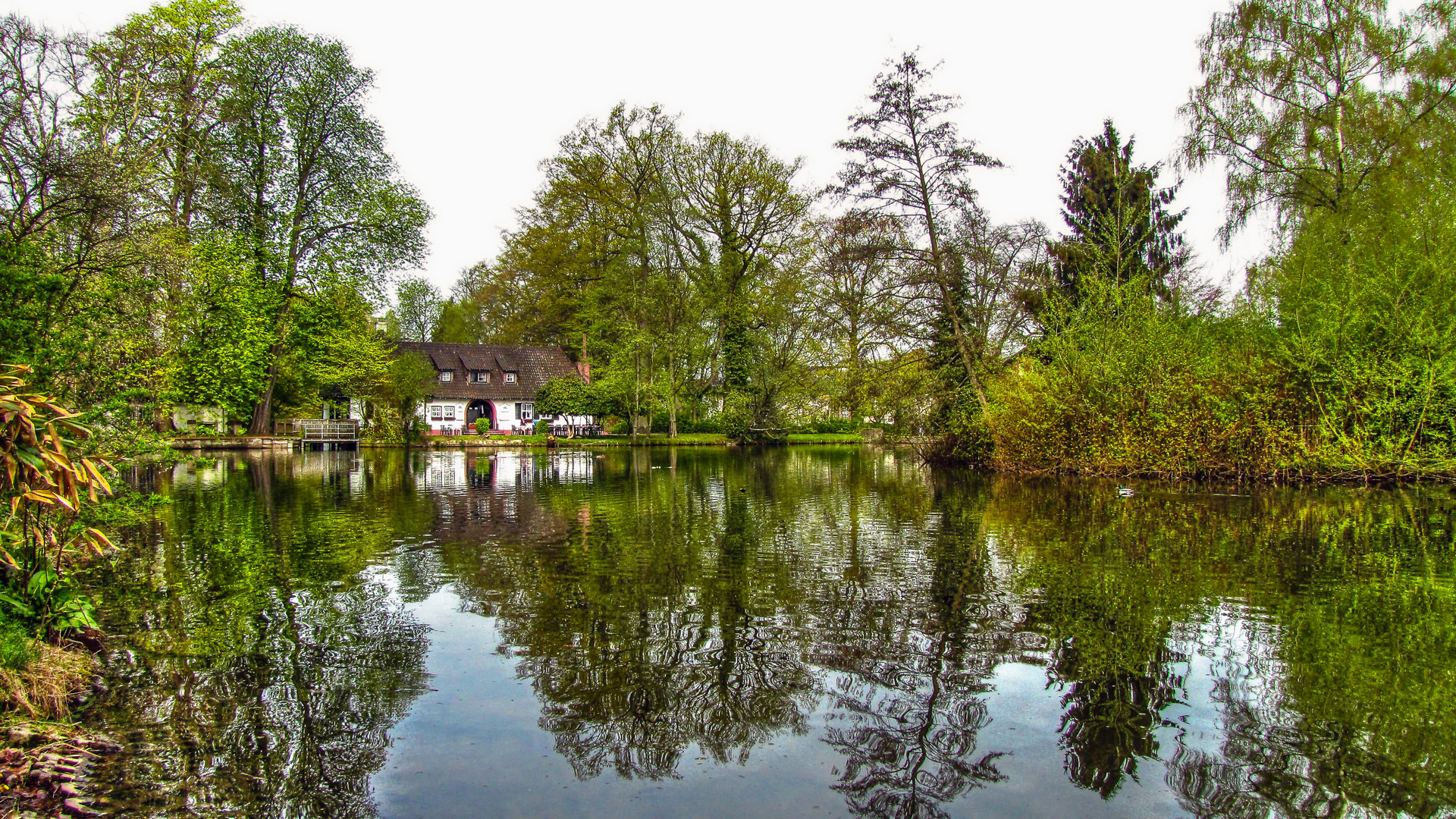 Teich in Holzminden