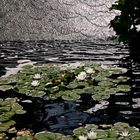 Teich in Kew Gardens