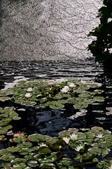 Teich in Kew Gardens