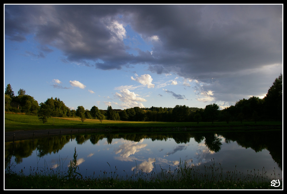 Teich in Köditz/Hof