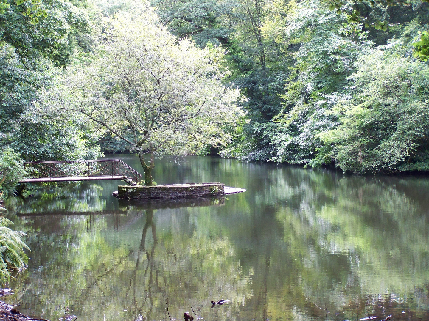 Teich in Le Bois de Keroual