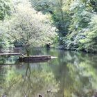 Teich in Le Bois de Keroual