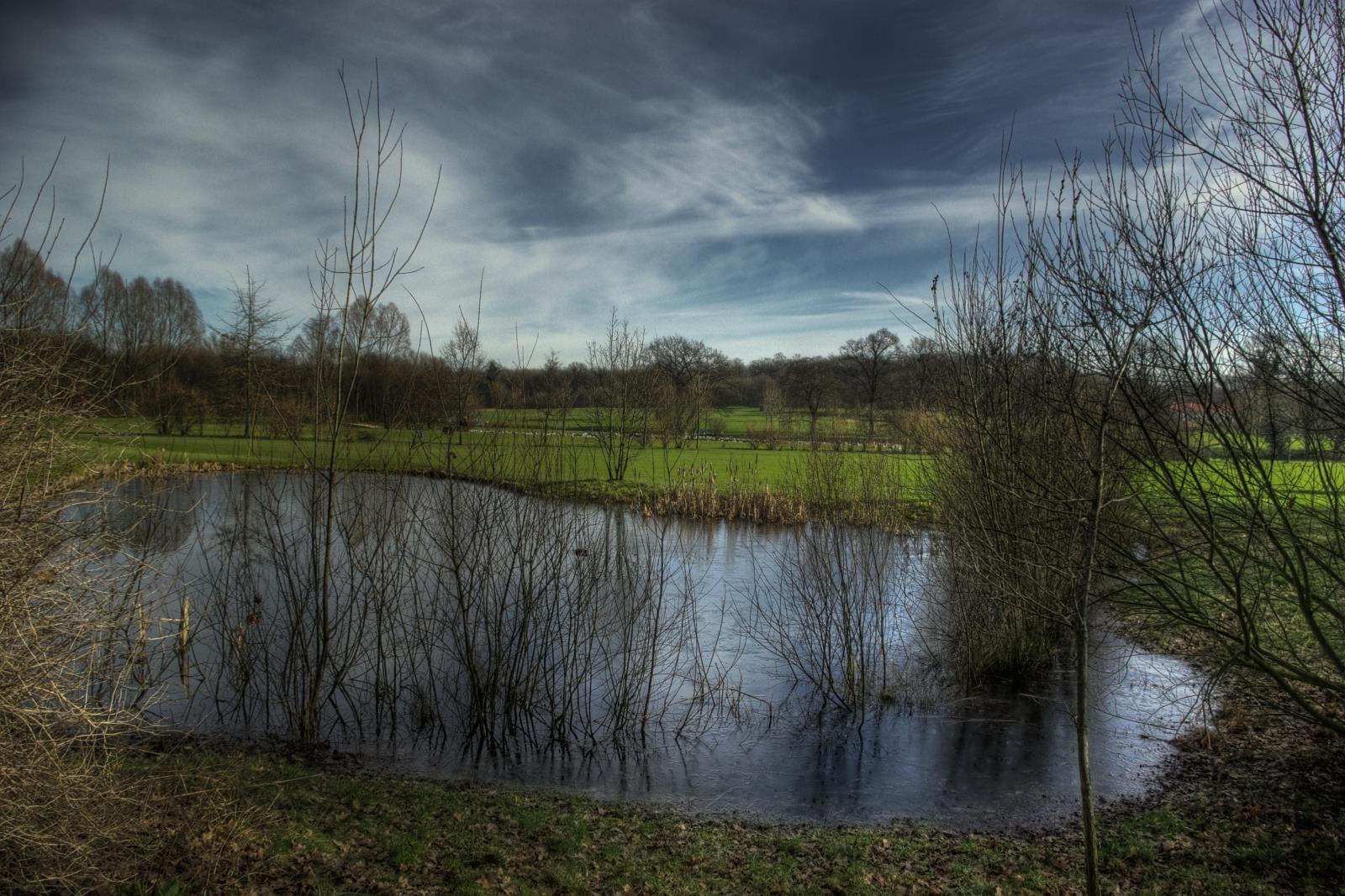 Teich in Münsterländer Parklandschaft