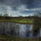 Teich in Münsterländer Parklandschaft