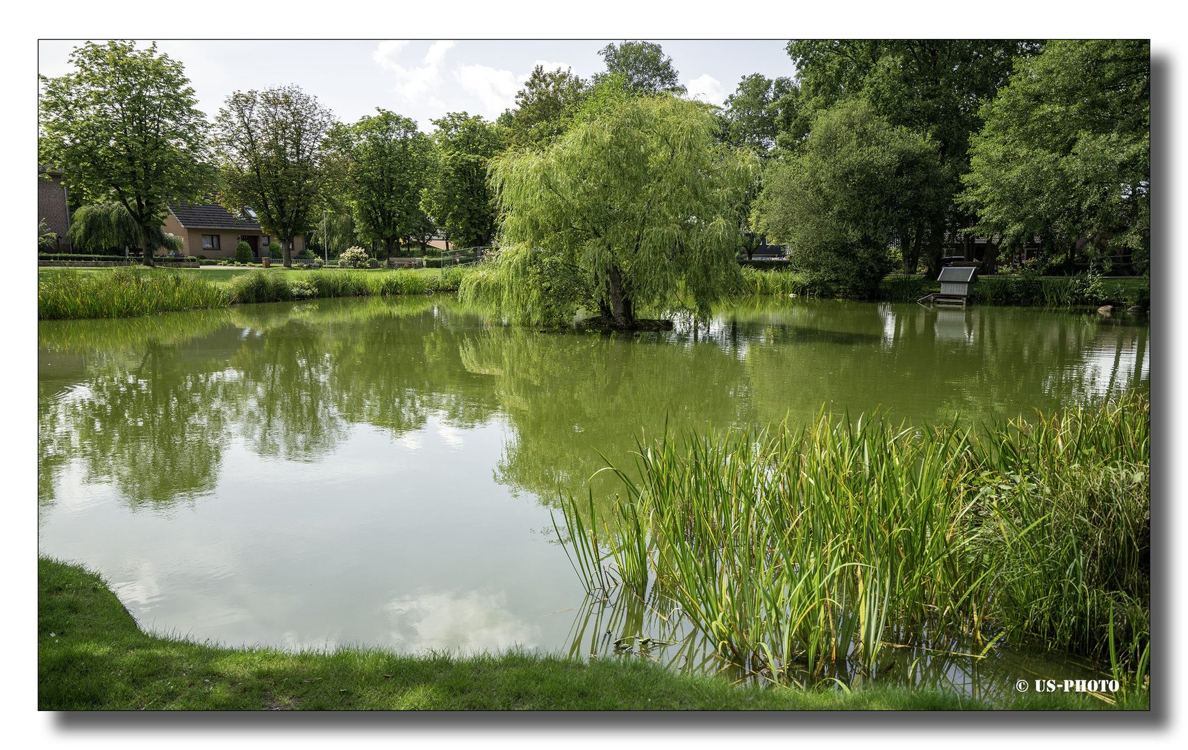 Teich in Parkanlage - Schneverdingen