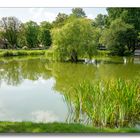 Teich in Parkanlage - Schneverdingen