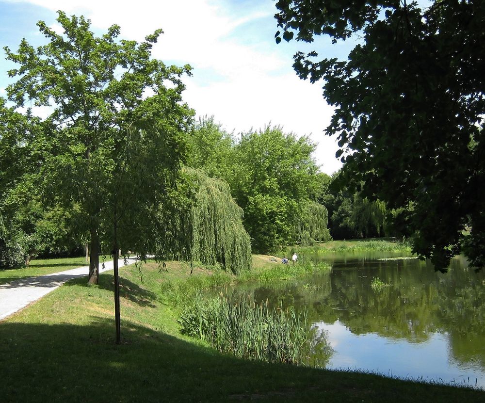 Teich in Stendal Foto & Bild natur, landschaft, projekte Bilder auf