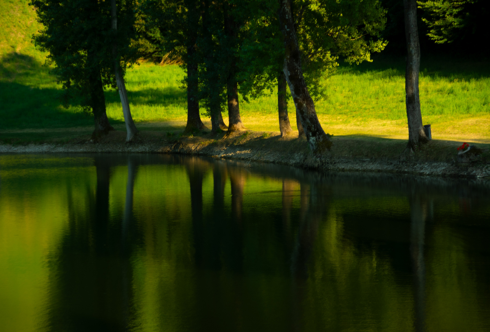 Teich in Varsi