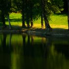 Teich in Varsi