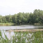 Teich in Vorpommern