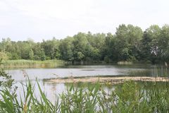 Teich in Vorpommern
