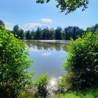 teich in zwickau