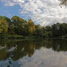 Teich mit auffliegenden Gänsen