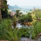 Teich mit Ausblick