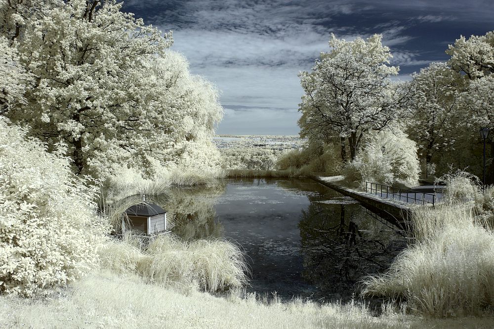 Teich mit Entenhäuschen