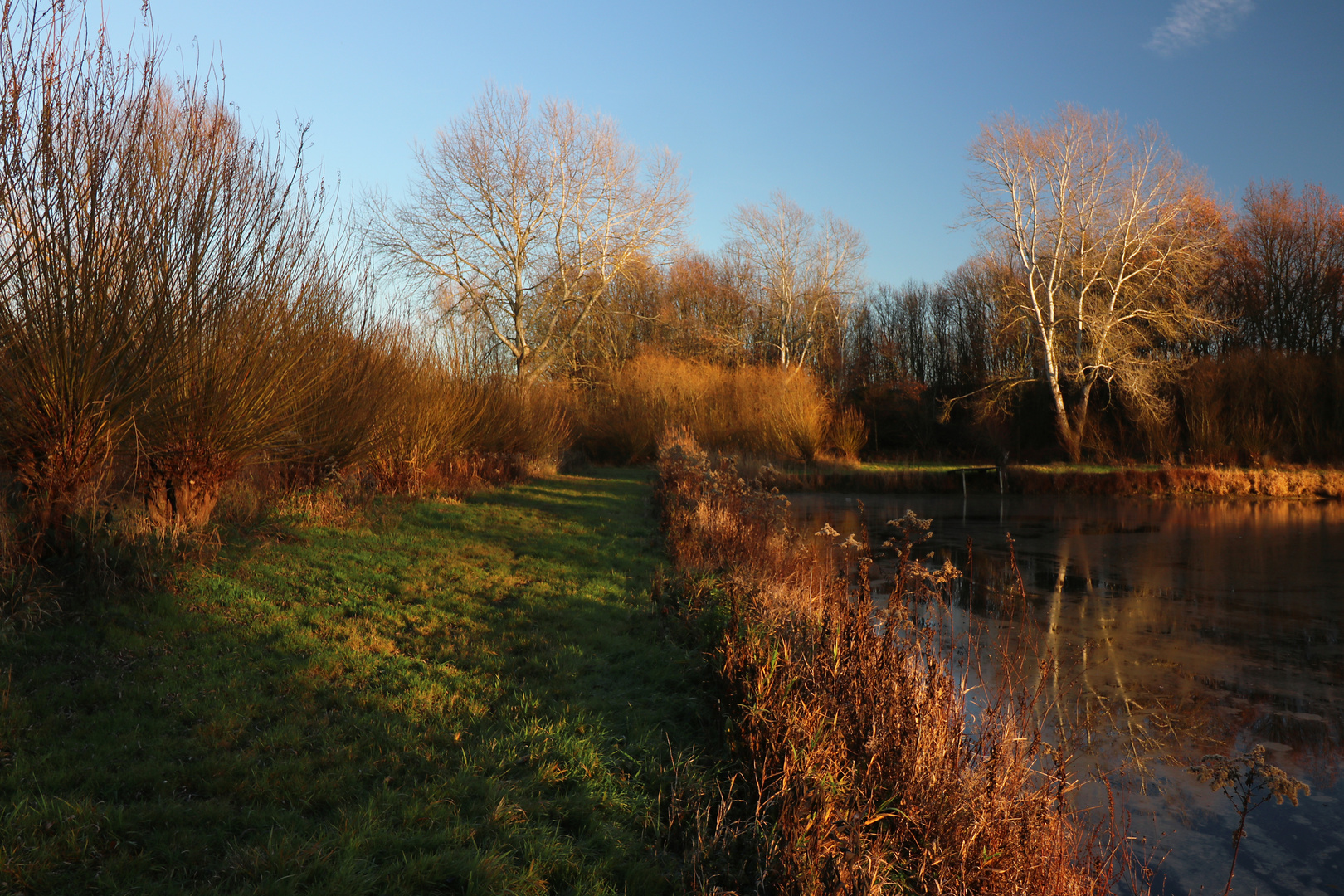 Teich mit Goldrand