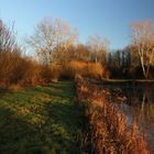 Teich mit Goldrand