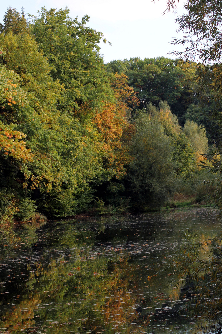 Teich mit Herbststimmung