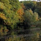 Teich mit Herbststimmung