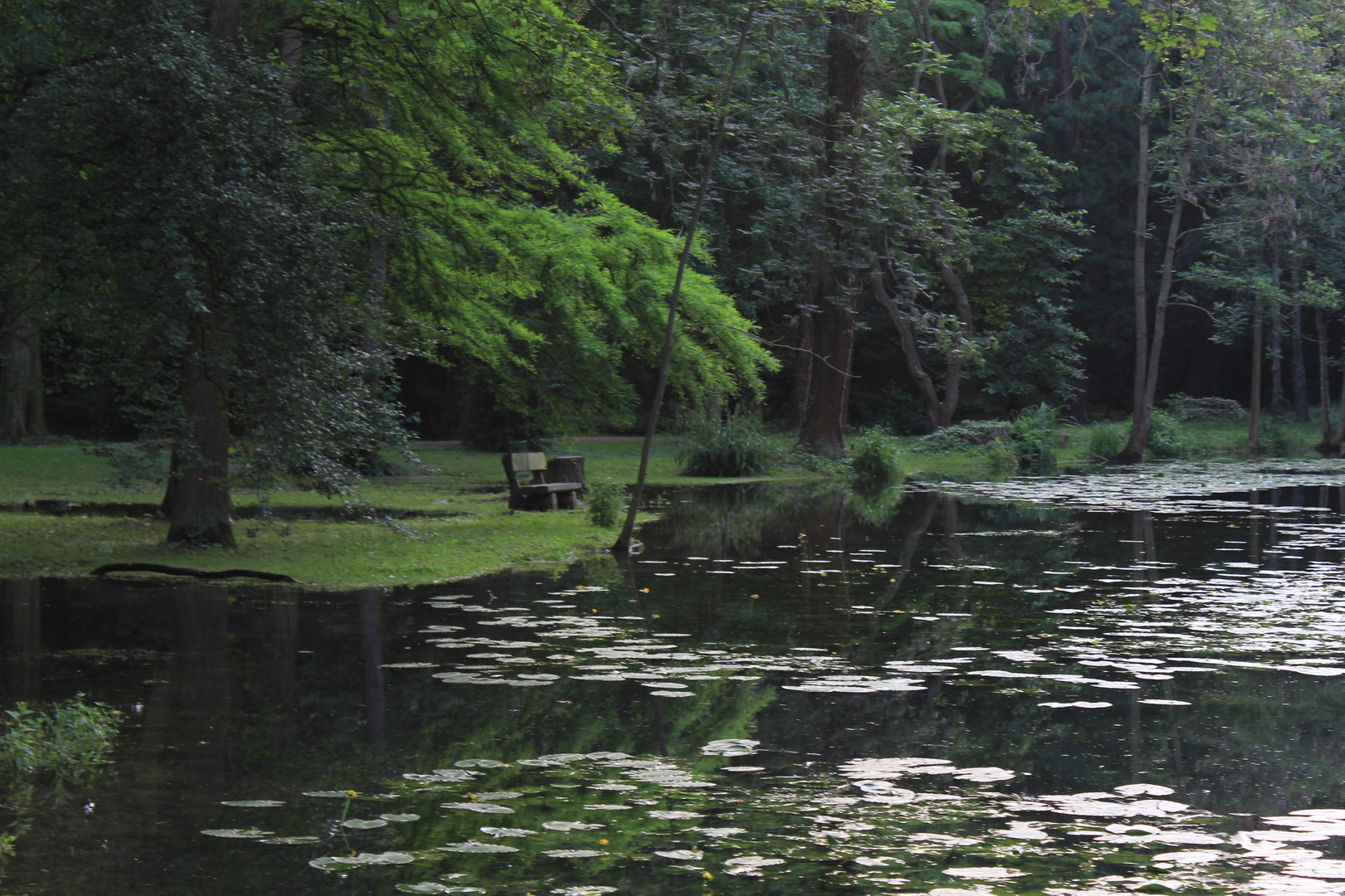 Teich mit Hochwasser