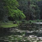 Teich mit Hochwasser