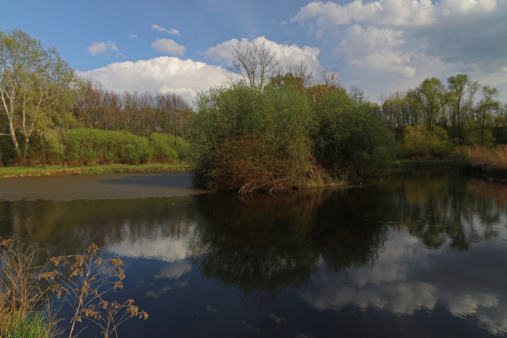 Teich mit Insel