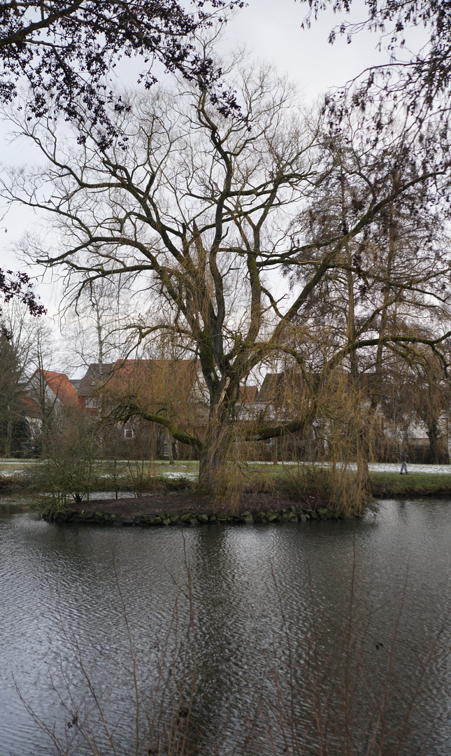 Teich mit Inselchen