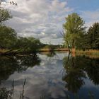 Teich mit Spiegelung