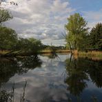 Teich mit Spiegelung