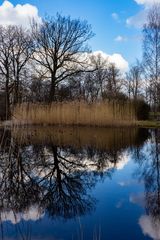 Teich mit Spiegelung