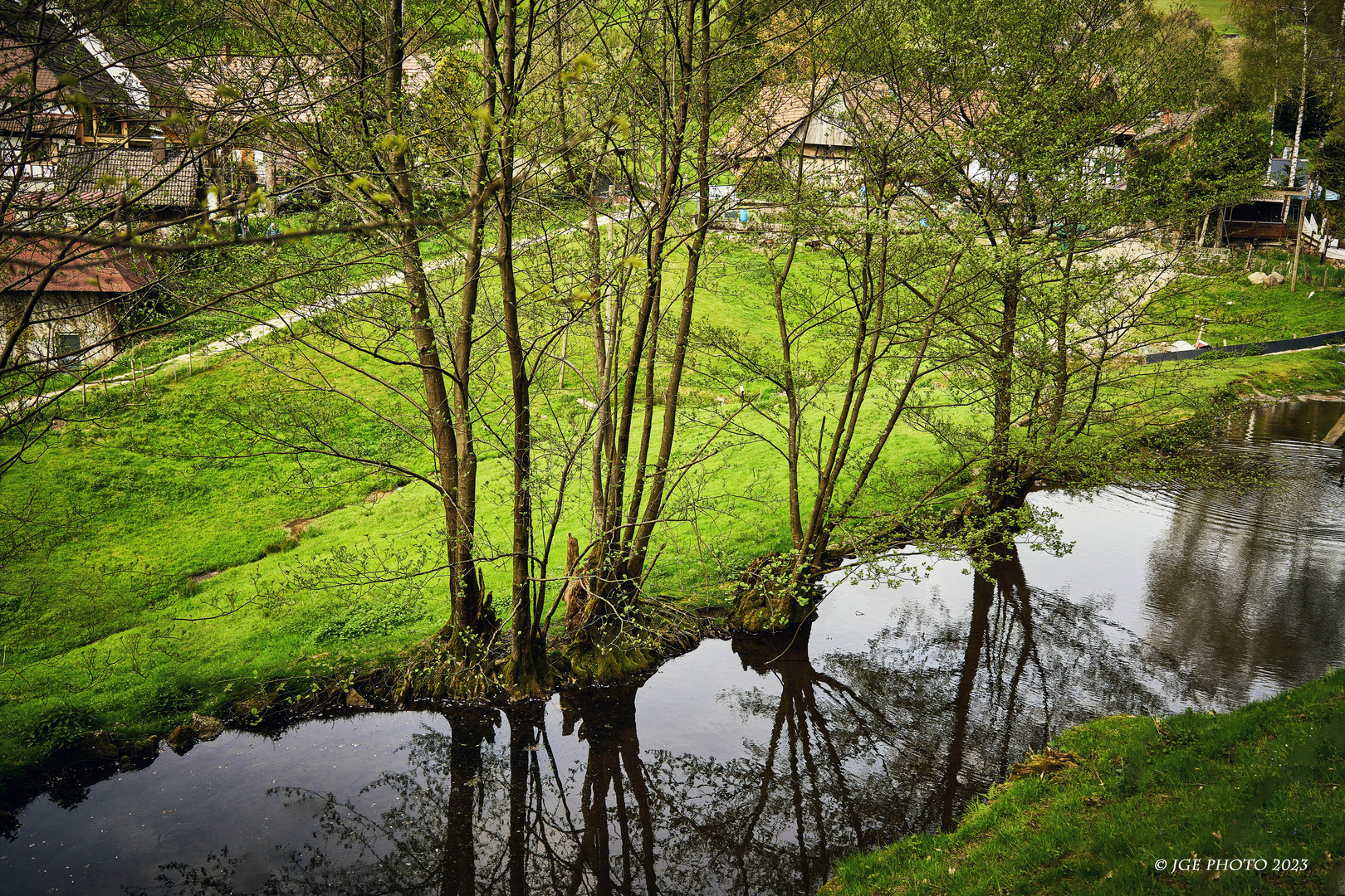 Teich mit Spiegelungen