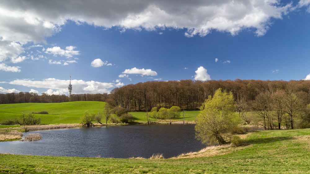 Teich mit Turmblick Foto & Bild landschaft, bach, fluss & see, see