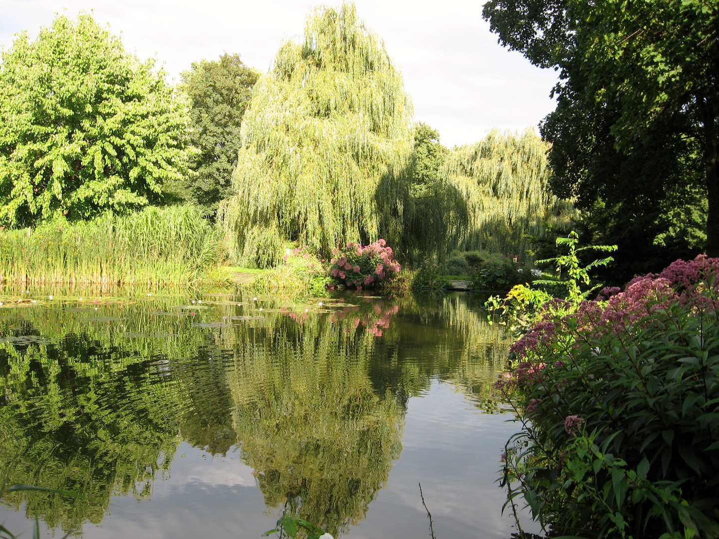 Teich mit Wasserspiegelung