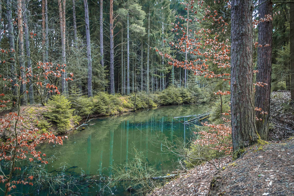 Teich, mitten im Wald