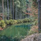 Teich, mitten im Wald