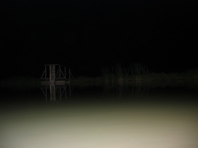 Teich @ night